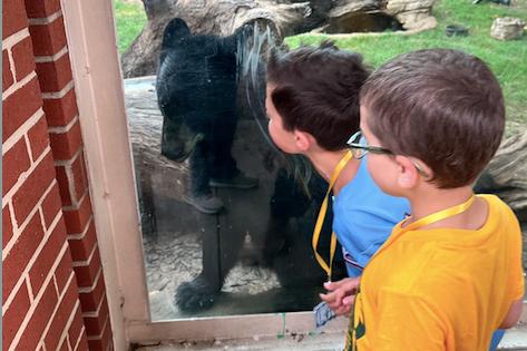 2 boys visiting the bears